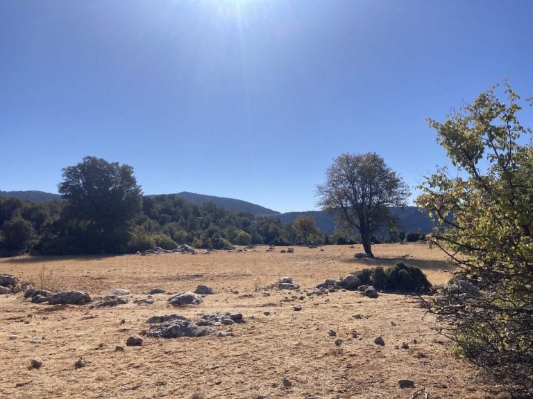 Field between Sarıbelen and Gökceören.