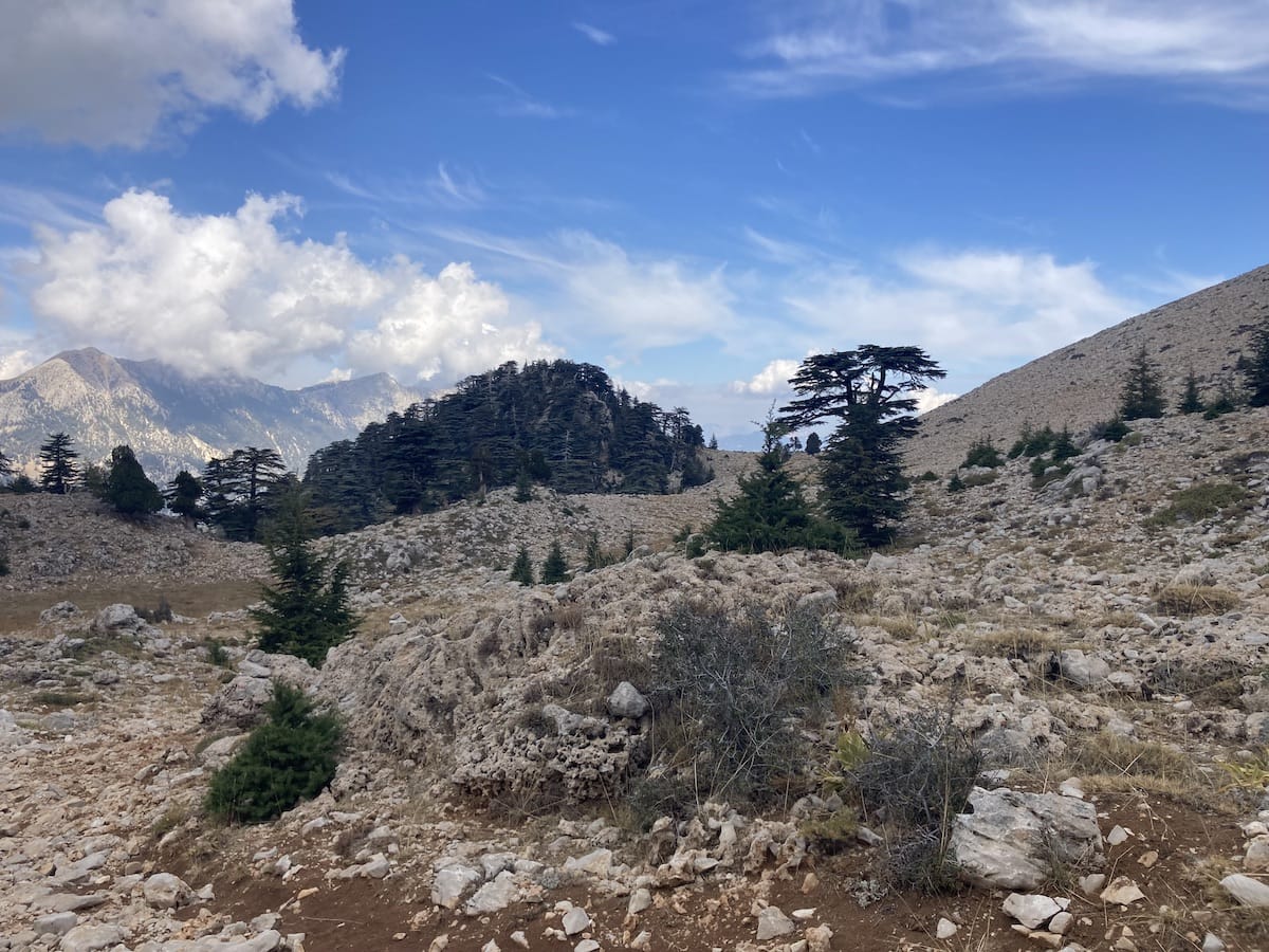 View from by highpoint on Tahtalı Dağı Near Peak [329]